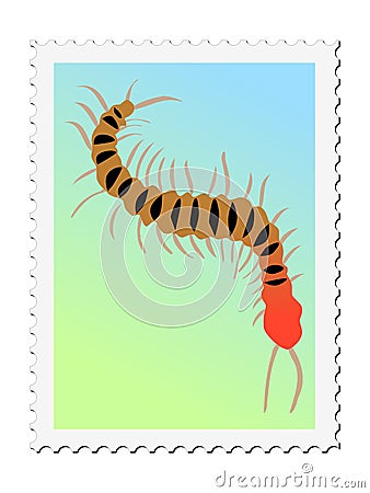 Centipede Vector Illustration