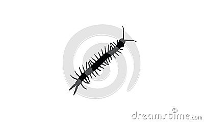 Centipede bug animal zoo symbol icon silhoutte Vector Illustration