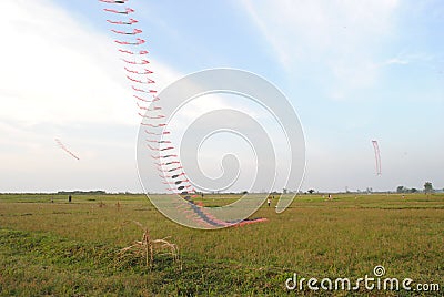 Centipede kites in Madura Editorial Stock Photo