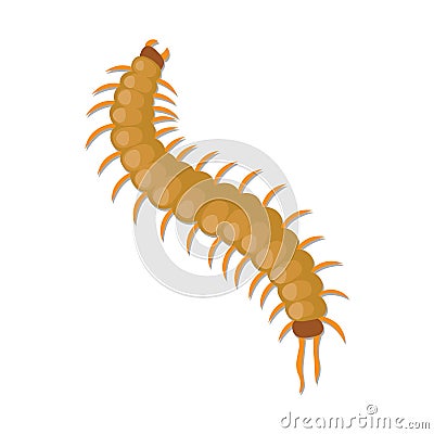 Centipede vector design Stock Photo