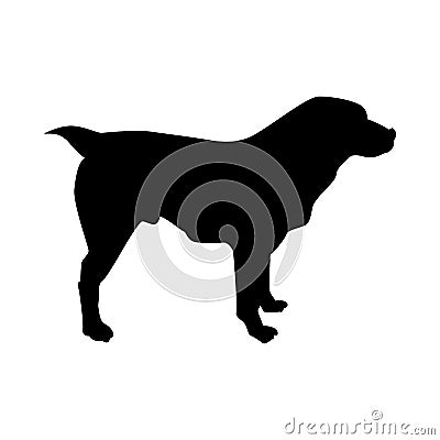 Central Asian Sheep Dog Silhouette Vector Illustration