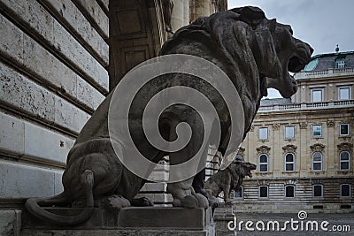 Central courtyard of the castle-palace of Buda with the statues of two big lions flanking the entrance, Budapest, Hungary Stock Photo