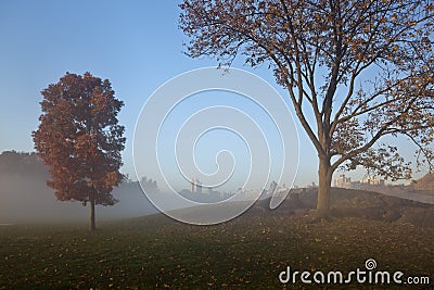 Central Park early morning fog Stock Photo