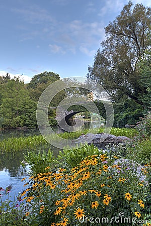 Central Park in the early morning at the pond Stock Photo