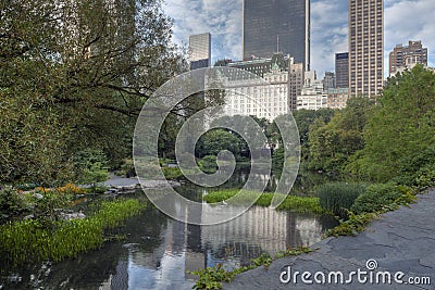 Central Park in the early morning at the pond Stock Photo