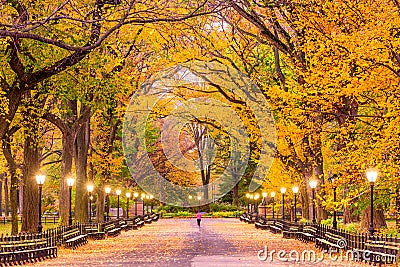 Central Park Autumn Stock Photo