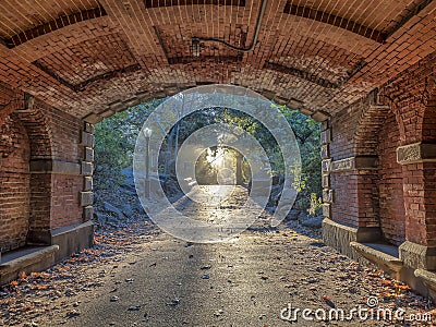 Central Park, New York City Stock Photo