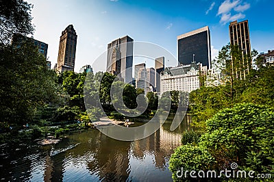 Central Park in New York. Skyscrappers on the backgroud. Summer. New York Stock Photo