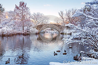 Central Park. New York. USA in winter covered with snow Stock Photo