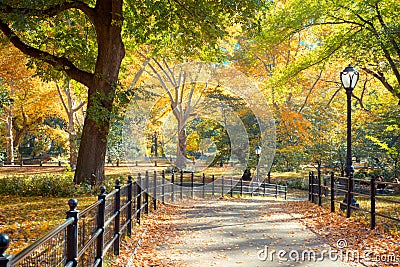 Central Park NY Stock Photo