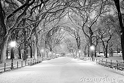 Central Park, NY covered in snow at dawn Stock Photo