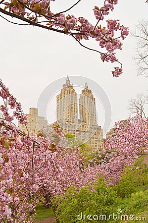 CENTRAL PARK NYC Stock Photo