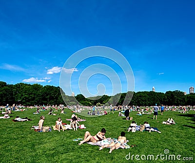 Central Park (Sheep Meadow) in New York Editorial Stock Photo