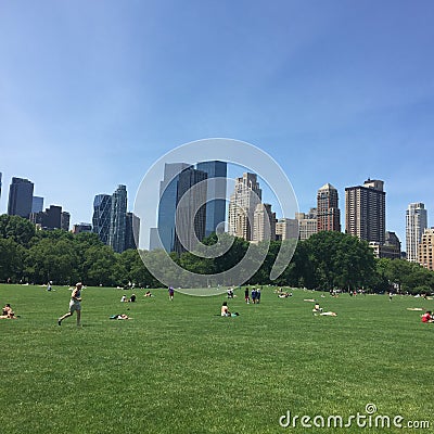 Central Park Sheep's Meadow Stock Photo