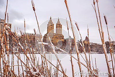 Central Park after the Snow Strom Linus Stock Photo