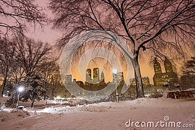Central Park after the Snow Strom Linus Stock Photo