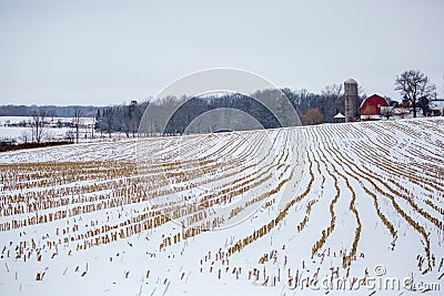 Central Wisconsin farmland with corn crop harvested in January Stock Photo