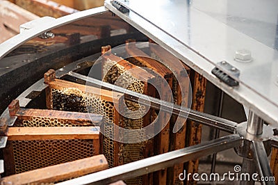 Centrifugal machine for extracting honey Stock Photo