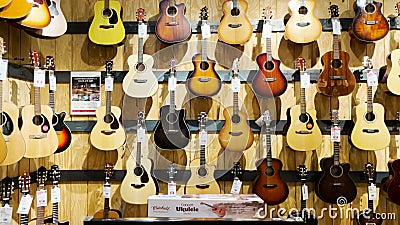 mamífero Estéril Suministro Centro De Guitarra De Augusta Guitarras Eléctricas Pan Evh Frankenstein Guitarra Metrajes - Vídeo de demostraciones, azul: 234867616 mamífero Estéril Suministro Centro De Guitarra De Augusta Guitarras Eléctricas Pan Evh Frankenstein Guitarra Metrajes - Vídeo de demostraciones, azul: 234867616