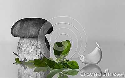 Cep porcini boletus twins with oregano and garlic artistic touch backdrop with copy space Stock Photo