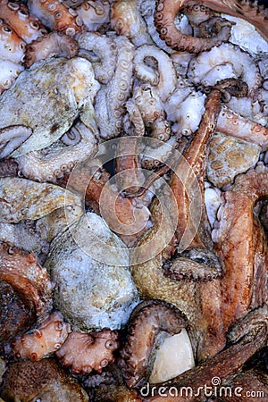 Cephalopods texture, many colorful octopus Stock Photo