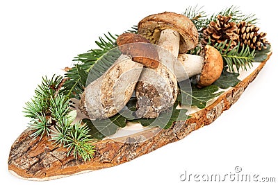 Ceps and leaves on cutting board Stock Photo