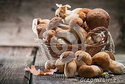Ceps mushroom. Boletus closeup on wooden table Stock Photo