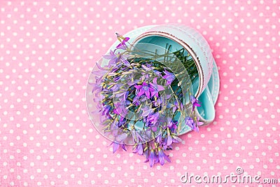 Ceramic Cup filled with a bouquet of bluebells, on a pink eco-friendly fabric with polka dots Stock Photo