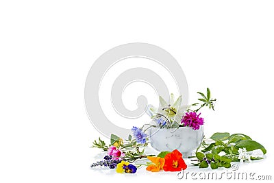 Ceramic mortar with herbs and fresh medicinal plants on white Preparing medicinal plants for phytotherapyand health Stock Photo