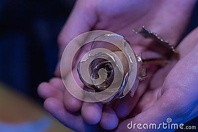 Ceramic rose in the hands of colors Stock Photo