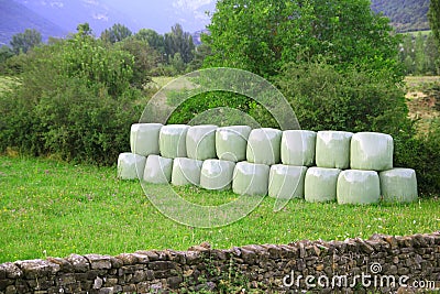 Cereal bales round green plastic wrap cover Stock Photo