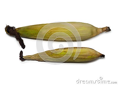 Cereal concept. Unhusked old corn on a white background. Corn with leaves. Maize with hairs Stock Photo