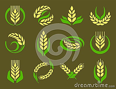 Cereal ears and grains agriculture industry or logo badge design vector food illustration organic natural symbol Vector Illustration