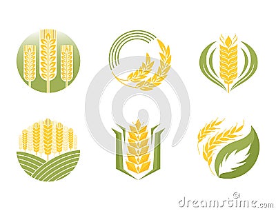 Cereal ears and grains agriculture industry or logo badge design vector food illustration organic natural symbol Vector Illustration