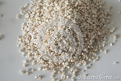 Cereal grain groa Stock Photo