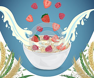 Cereal porridge in bowl with milk splashes, raspberry, strawberry and cereals. Vector Illustration