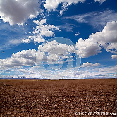 Cereal rice fields in fallow after harvest at Mediterranean Stock Photo