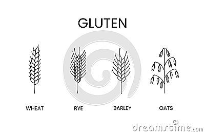 Cereals containing gluten vector line icons set. Food allergens oats and barley, rye and wheat Vector Illustration