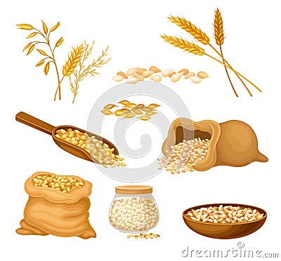 Cereals or Grain Crops with Dry Seeds in Sack Vector Set Vector Illustration