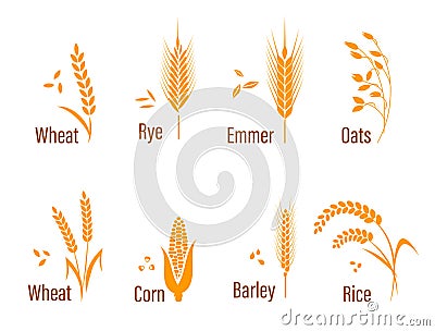 Cereals icon set. Vector Illustration