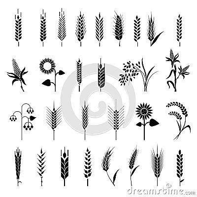 Cereals icon set with rice, wheat, corn, oats, rye, barley. Vector Illustration