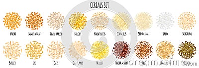 Cereals set with Wheat, Bulgur, Couscous, Semolina, Sago, Barley, Rye, Oats, Millet, Teff, Amaranth etc Vector Illustration