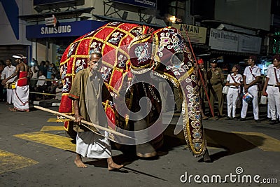 A ceremonial elephant parading during the Esala Perahera. Editorial Stock Photo