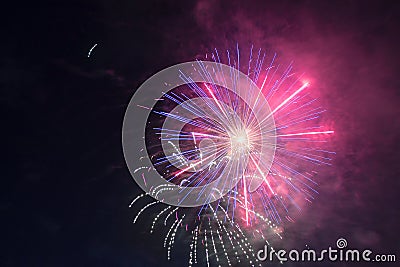 Explosion of fireworks in the night sky brightly violet and pink flowers Stock Photo