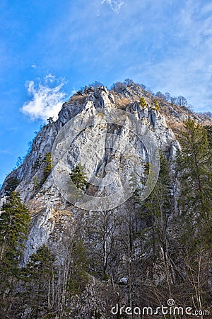 Cerna valley in Valcea county, Romania Stock Photo