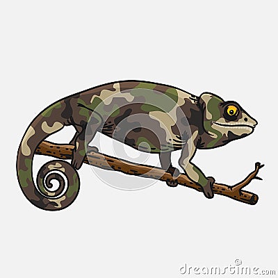 Chameleon uniform illustrator cute animal template Vector Illustration