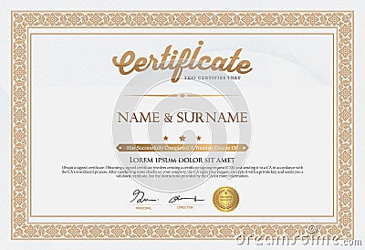 Certificate of Completion Template Vector Illustration