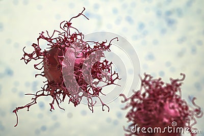 Cervical cancer cells Cartoon Illustration