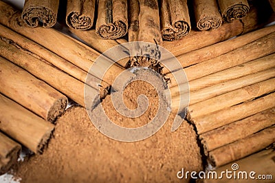 Ceylon true Cinnamon sticks and powder Stock Photo