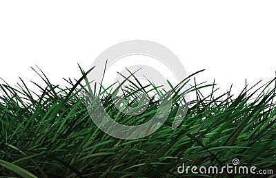 CG Grass Stock Photo